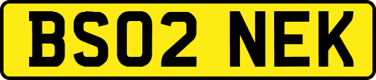 BS02NEK