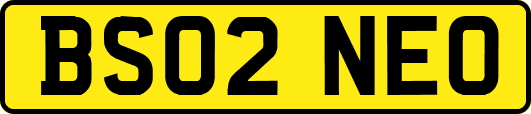 BS02NEO