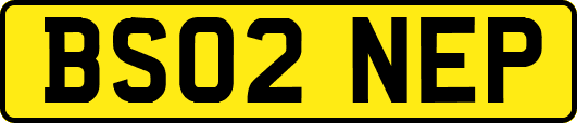 BS02NEP