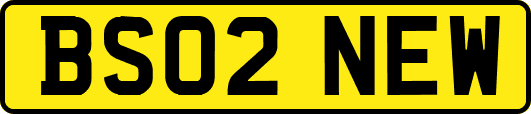 BS02NEW