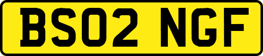 BS02NGF