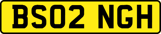 BS02NGH