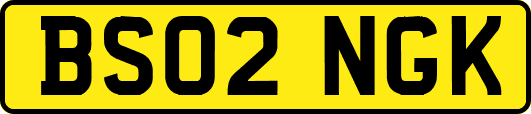 BS02NGK