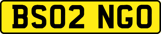 BS02NGO