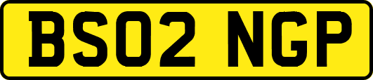 BS02NGP