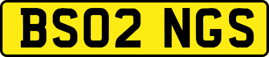 BS02NGS