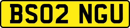 BS02NGU