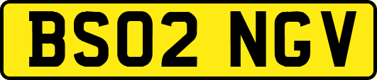 BS02NGV