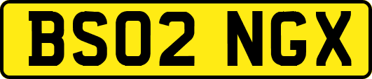 BS02NGX