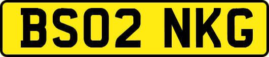 BS02NKG
