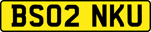 BS02NKU