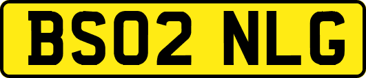BS02NLG