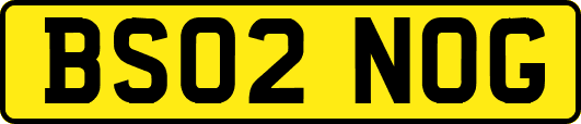 BS02NOG