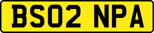 BS02NPA