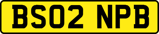 BS02NPB