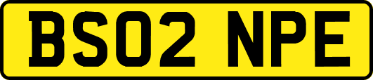 BS02NPE