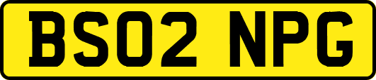 BS02NPG