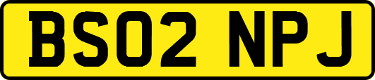 BS02NPJ