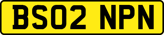 BS02NPN