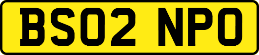 BS02NPO
