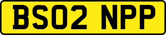 BS02NPP