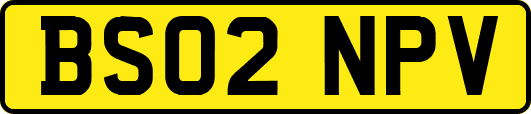 BS02NPV