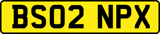 BS02NPX