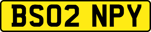 BS02NPY