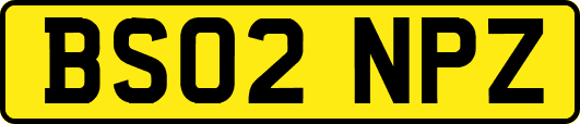 BS02NPZ