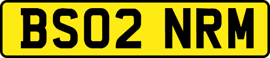 BS02NRM