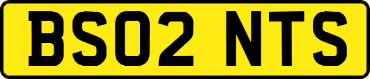 BS02NTS