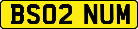 BS02NUM