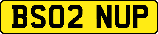 BS02NUP