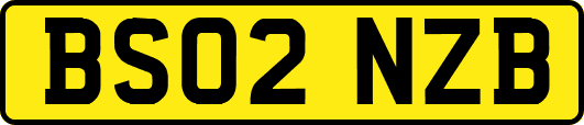 BS02NZB