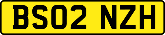 BS02NZH