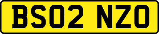 BS02NZO