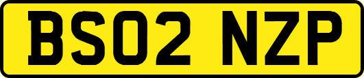 BS02NZP
