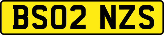 BS02NZS
