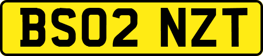 BS02NZT