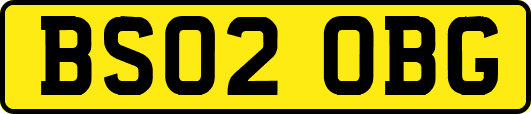 BS02OBG