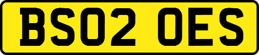 BS02OES