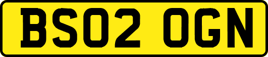BS02OGN