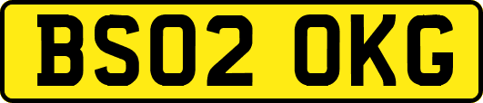 BS02OKG