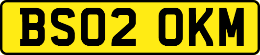 BS02OKM