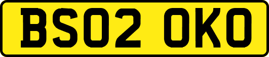 BS02OKO
