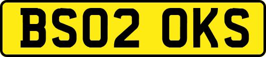 BS02OKS