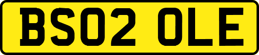BS02OLE