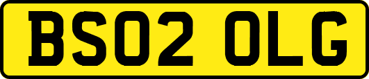 BS02OLG