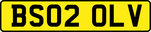 BS02OLV