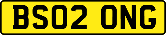 BS02ONG